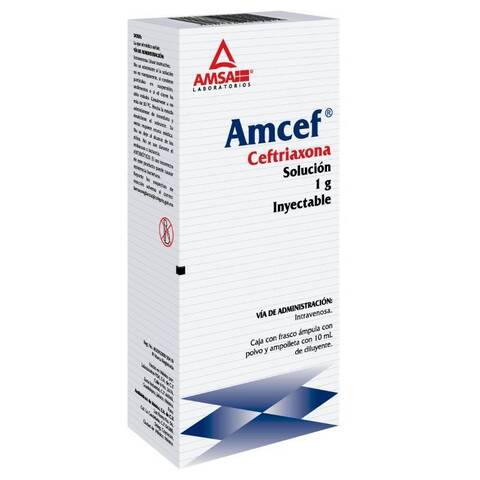 Ceftriaxona 1 G