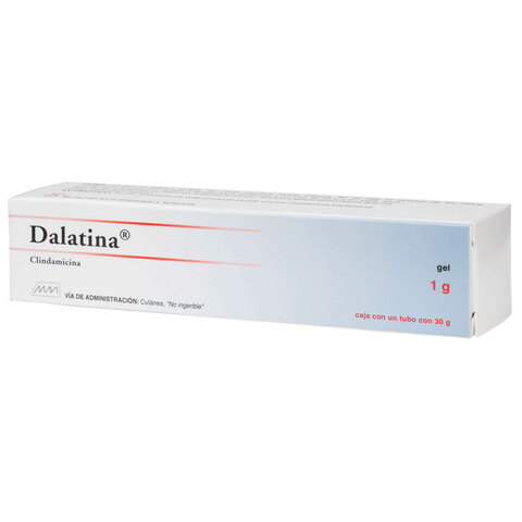 Clindamicina 1 G