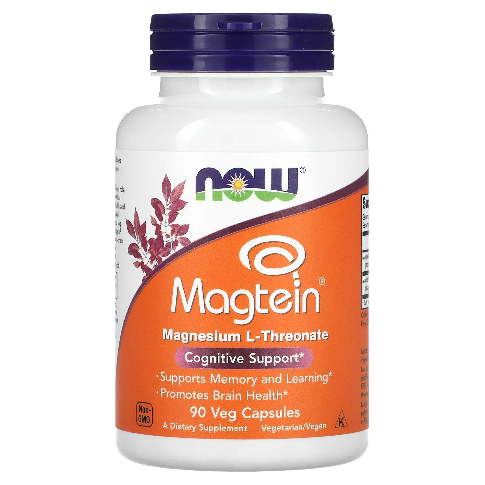 Now Magtein 90 Veg Capsules