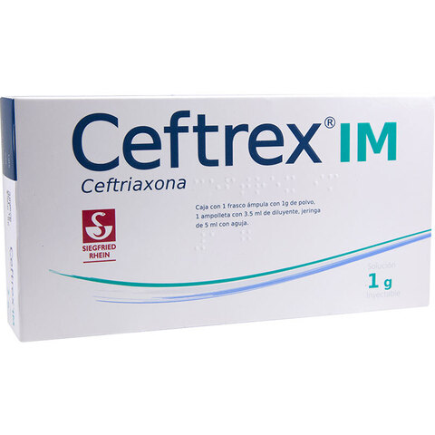 Ceftrex Im Inyección 1 Solución Frasco Ámpula